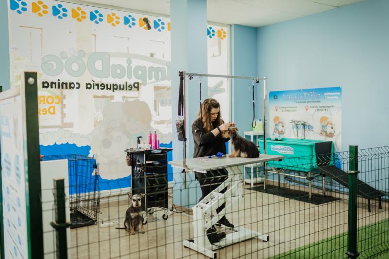 Peluqueria canina