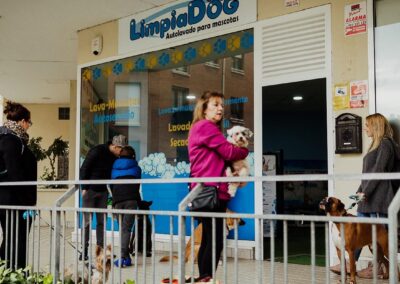 LimpiaDog Corredoria