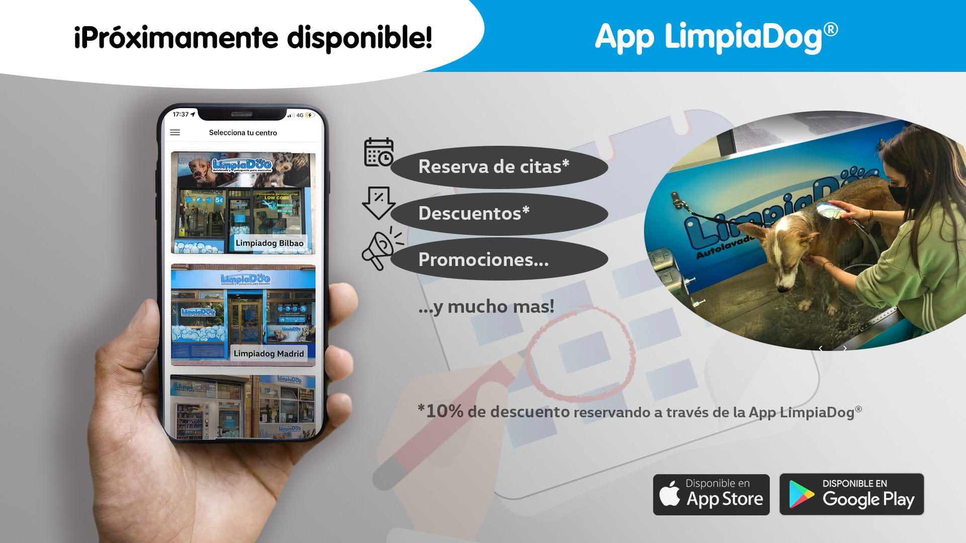 LimpiaDog App Citas LimpiaDog App Citas