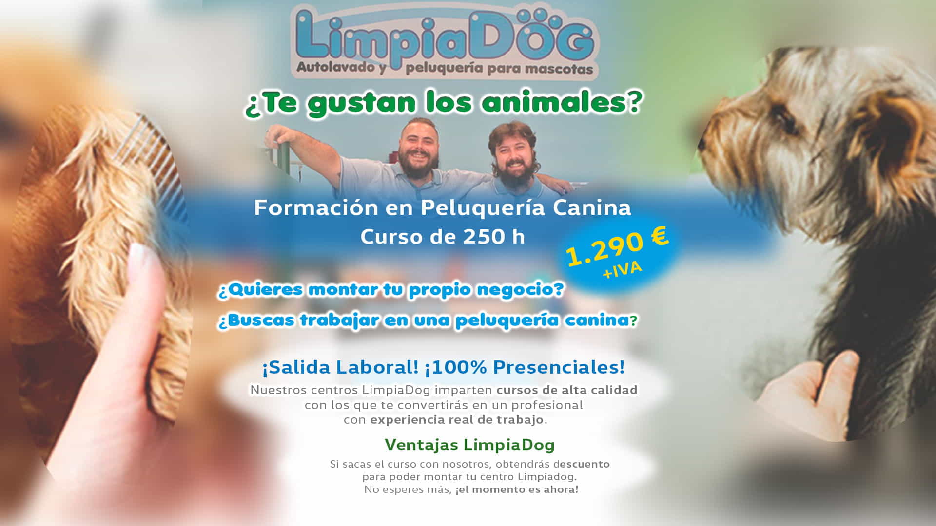 Anuncio peluqueria cursos LimpiaDog Anuncio peluqueria cursos LimpiaDog