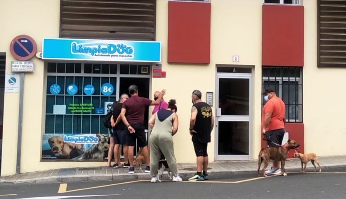 Contacta con LimpiaDog